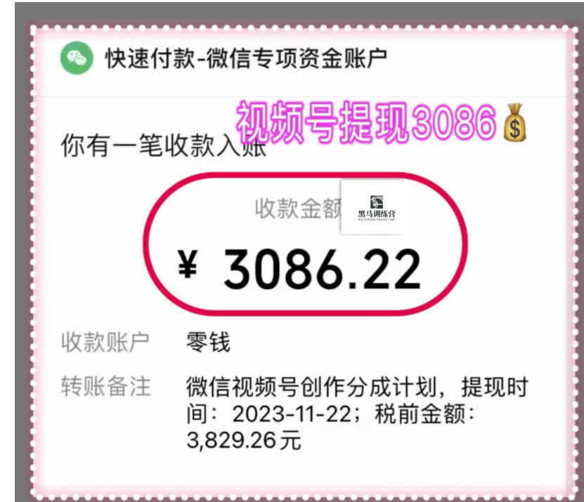 视频号高阶变现项目