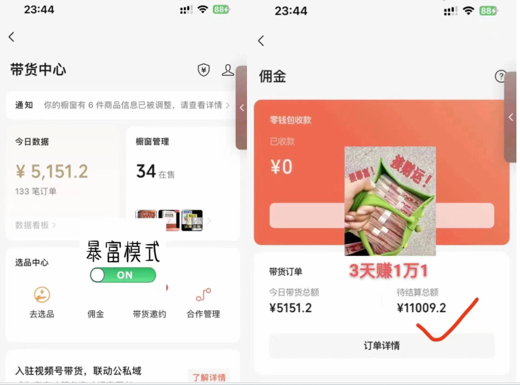 视频号高阶变现项目