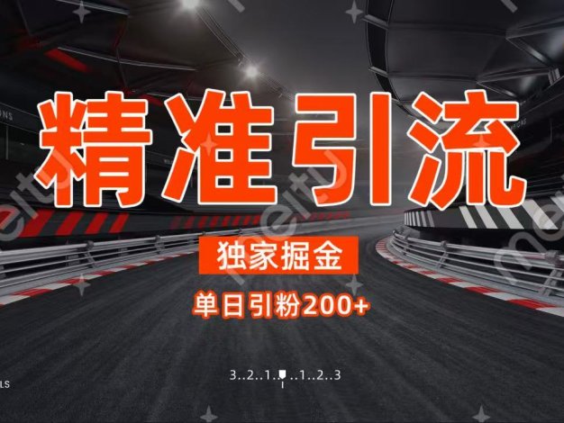 独家野路子精准引流 每日200+